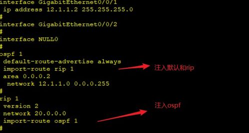 OSPF進階篇 深入探索高級網(wǎng)絡(luò)技術(shù)